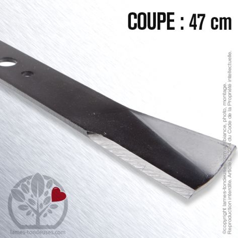 Lame. Coupe 47 cm. Section 50 x 5. Al&egrave;sage 19