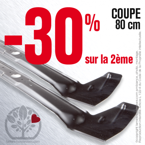 Lame tondeuse. Coupe 80 cm. Etesia. Lot de 2.
