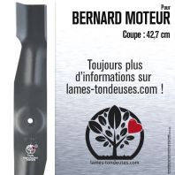 Lame pour Bernard Moteur 12800. Coupe 42,7 cm