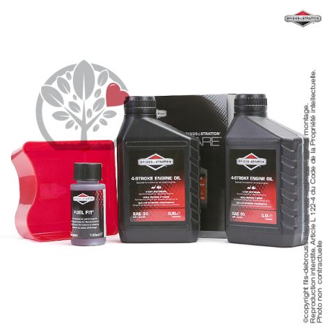 Kit origine d'entretien moteur Briggs et Stratton