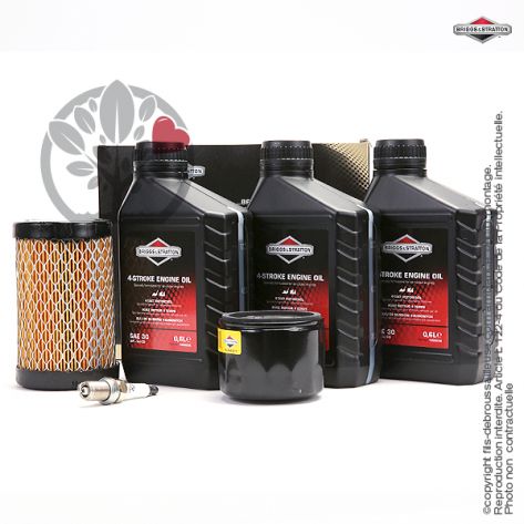 Kit origine d'entretien moteur Briggs et Stratton mod&egrave;les 31, 31R7, 31R8, 31R9 et s&eacute;ries 4 intek I/C OHV